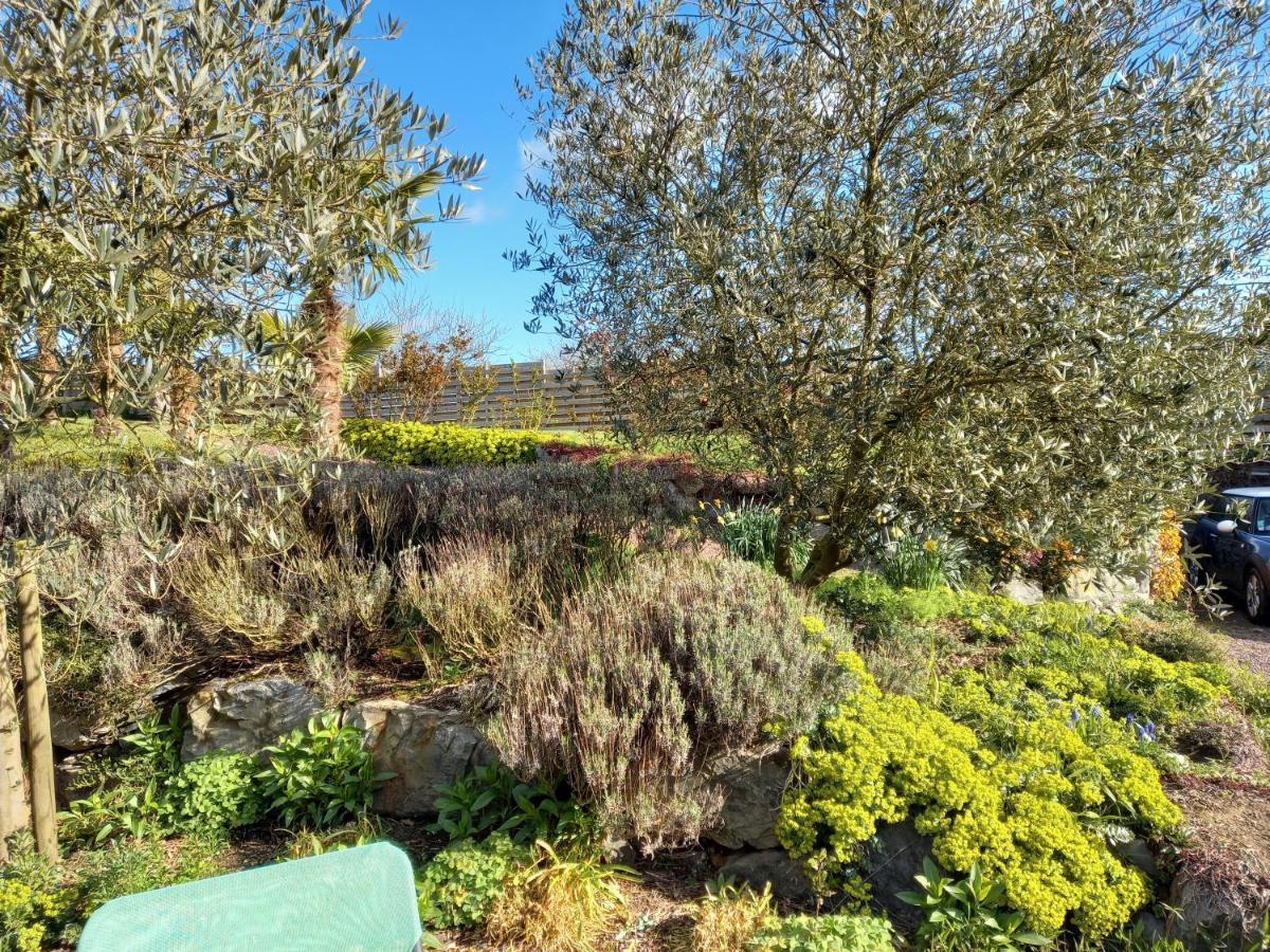 Havre De Paix Et Jardin Tropical. Chambre Privee Le Rheu Eksteriør billede